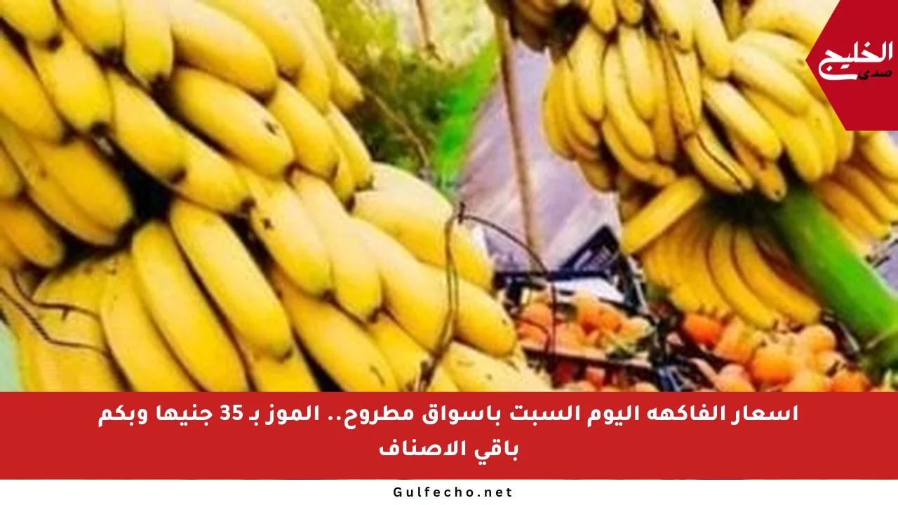 أسعار الفاكهة اليوم السبت بأسواق مطروح.. الموز بـ 35 جنيها وبكم باقي الأصناف